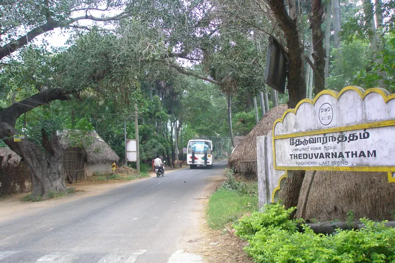 Tree-lined village road in the Puducherry countryside